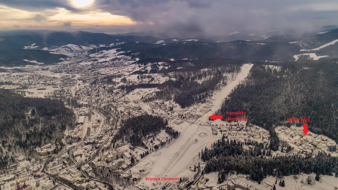 Willa Mis Krynica Zdroj Bagian luar foto